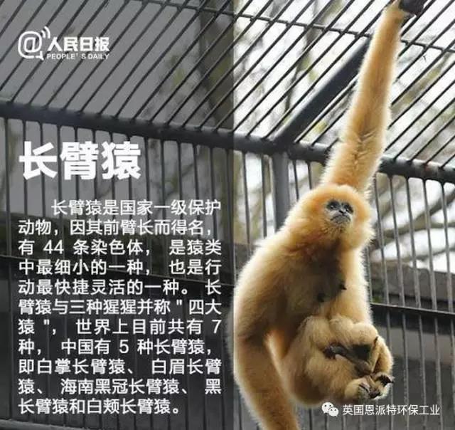 微信图片_20170415073422.jpg 微信图片_20170415073422.jpg