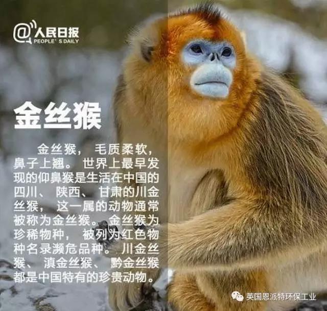 微信图片_20170415073419.jpg 微信图片_20170415073419.jpg